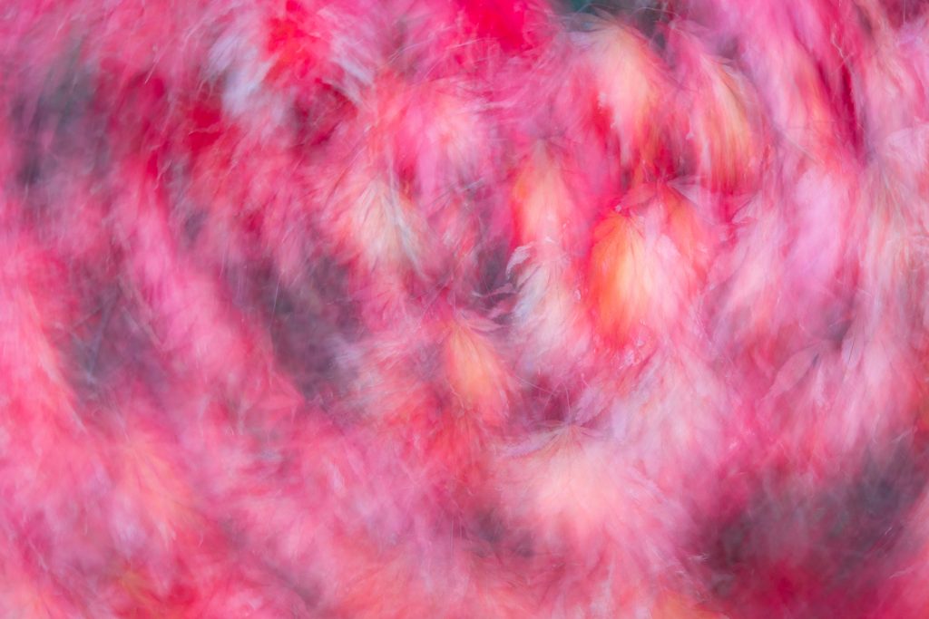 Movement in red (ICM)