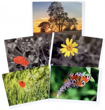 Cards Group 4