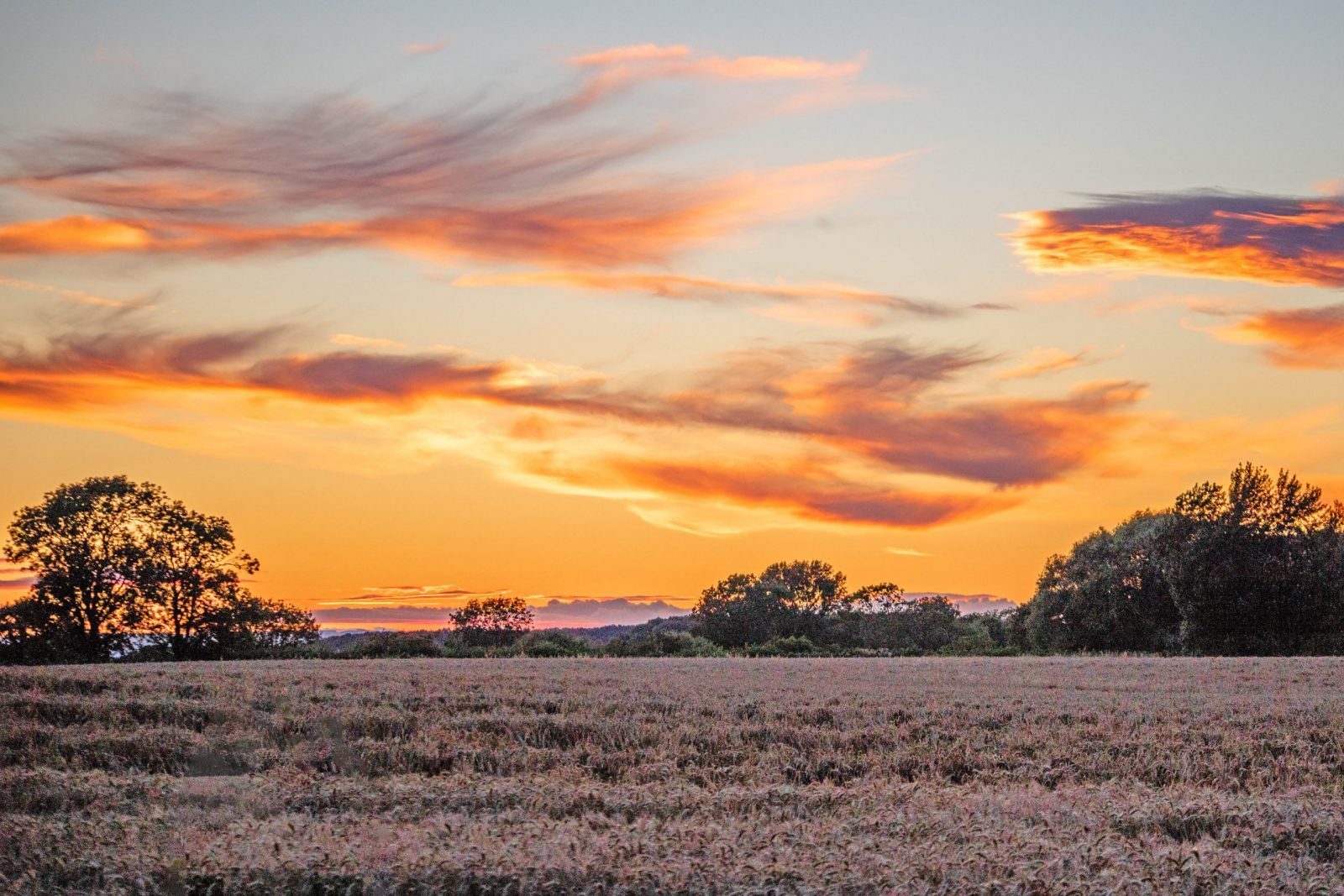 Sunset over the fields