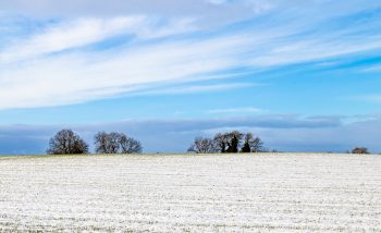Winter Fields