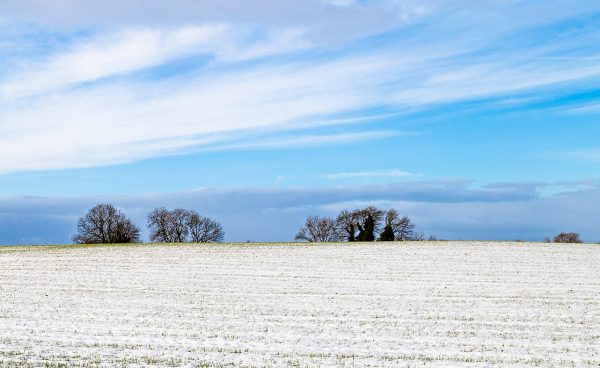 Winter Fields