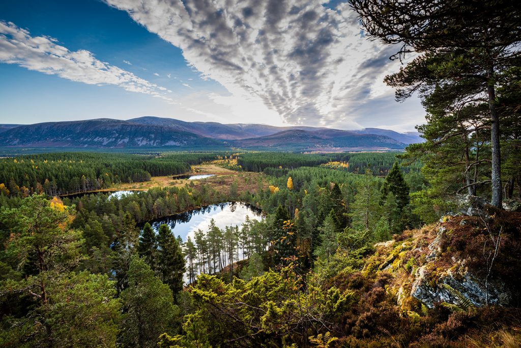 Uath Lochans, Cairngorms