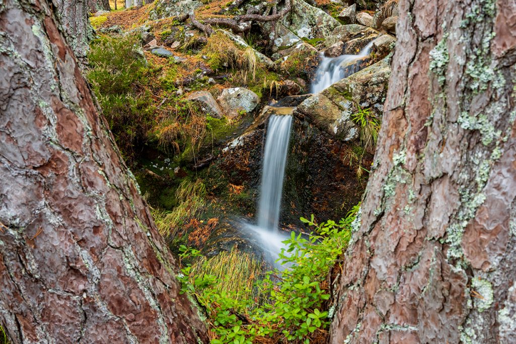 A small falls in the Cairngorms National Park