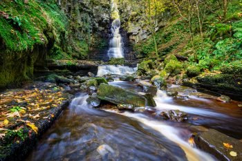 Mill Gill Force