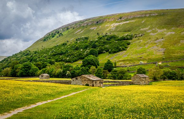 Muker Meadows
