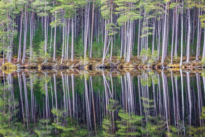 Reflections, Loch Mallachie