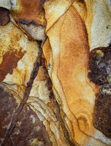 Rock patterns near Howick Bathing House