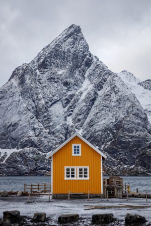 Sakrisøy