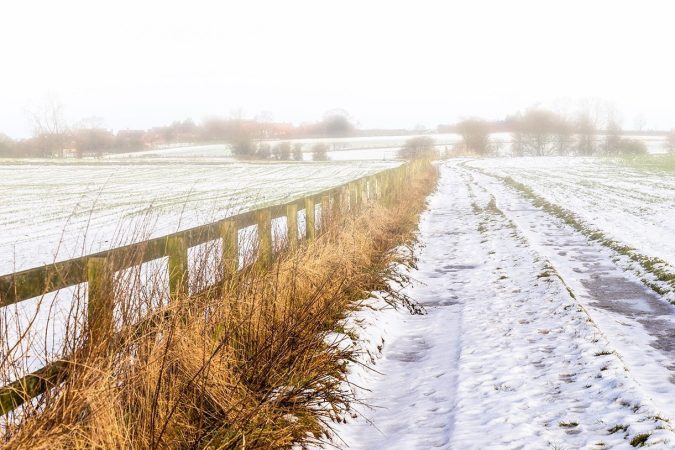 Misty Fields / Snowy Path