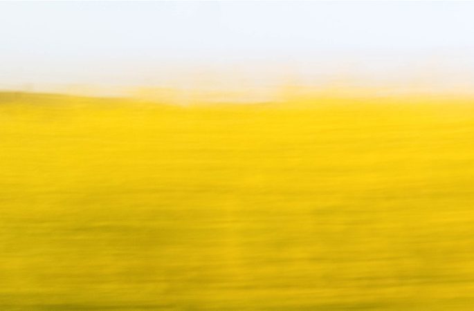 Rapeseed in the fields at Morton-on-Swale using ICM