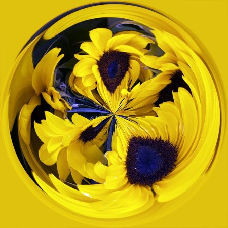Sunflowers PSC043